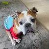 Darla Grace - @princessdarlagrace - TikTok