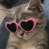 darla_gracee - @darla_gracee - TikTok