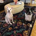 dinky_darla_grace - @dinky_darla_grace - Instagram