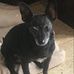 Darla Gray - Facebook