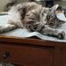 Darla Gray - Facebook