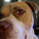 Darla Gregory - @dgreg6250 - Instagram