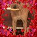 Darla Griggs - Facebook