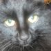 Darla Gustafson - Facebook