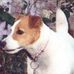 Darla Gustafson - Facebook