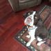 Darla Jensen - Facebook
