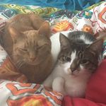 Elliot & Darla Jensen - @jensenfamilyzoo - Instagram