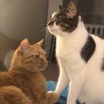 Elliot & Darla Jensen - @elliot_and_darla - Instagram