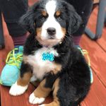 Darla Joyce - @dearrrr_darla - Instagram