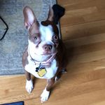 Darla Joyce Bove - @darla_live_it_well - Instagram