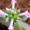 darlavkeller - @darlavkeller - TikTok