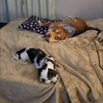 Darla Kimball - @darlakimball1975 - Instagram