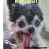 Darla Knapp655 - @darlaknapp4 - TikTok