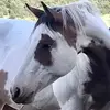 darlaknott - @darlaknott - TikTok