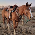Darla Knutson - @darlaknutson08 - Instagram