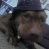 Darla Lambert - @darlalambert - TikTok