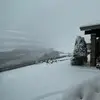 Darla Landers - @darla.landers - TikTok