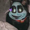 darla 🐈‍⬛ - @darlalangfield - TikTok