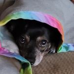 Darla Langdon - @darla.langdon.3 - Instagram