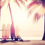 Darla Larson - @darla_the_surfer_girl - Instagram