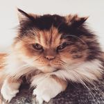 Darla Larson - @nanadarlar - Instagram