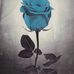 Darla Laughlin - Facebook