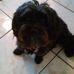 Darla Mader - Facebook