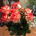 Darla McCarty - Facebook