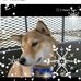 Albert Darla Messer - Facebook
