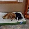 Darla Messer - @darla.messer - TikTok