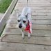 Darla Messmer - Facebook