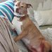 Darla Miller - Facebook