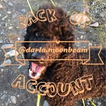 Darla Moonbeam - @darlamoonbeam - Instagram