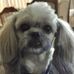 Darla Munson Ely - Facebook