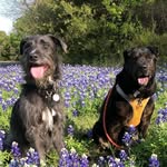 Darla and Murphy - @darla.and.murphy - Instagram