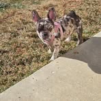 Darla Nelson - Facebook