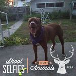 Darla Nelson - @darla.nelson.399 - Instagram