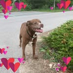 Darla Nelson - Facebook