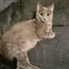 Darla Nelson - @darla.nelson7 - TikTok