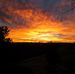 Darla Newcomb - Facebook
