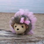 Darla Northernhedgehogs - @darla.northernhedgehogs - Instagram