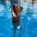Darla O'Brien - Facebook