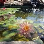 Darla Page Critchfield - @darlacritchfield - Instagram