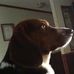 Darla Pate - Facebook