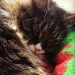 WE LOVE DARLA - @darlapattonfans - Instagram