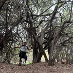 Darla Phillips - @darla.phillips.50 - Instagram