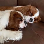 Darla Phillips - @phillips_darla - Instagram
