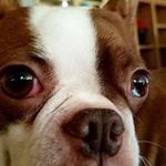 Darla Purdy - @darla.purdy - Instagram