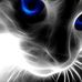 Darla Purdy - Facebook