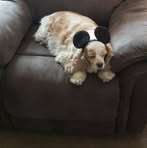 Darla Richardson - Facebook
